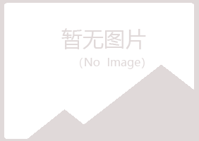 南雄曼山会计有限公司